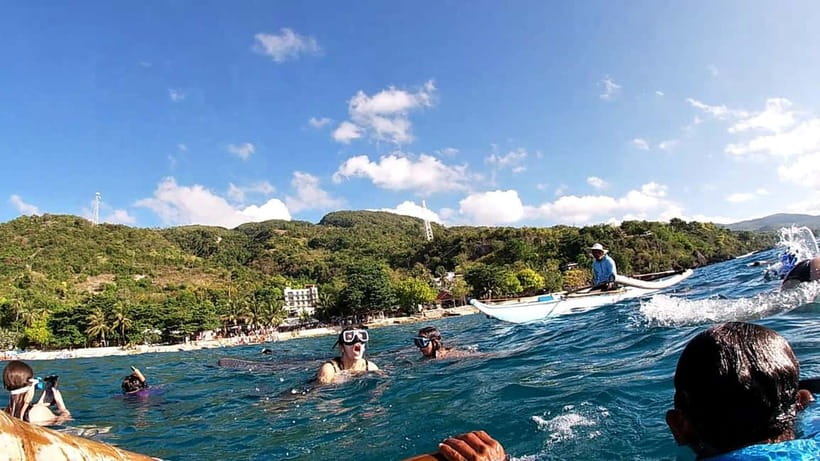 Cebu Oslob: Whale Shark Watching Experience - Who will enjoy this, and who should skip it?