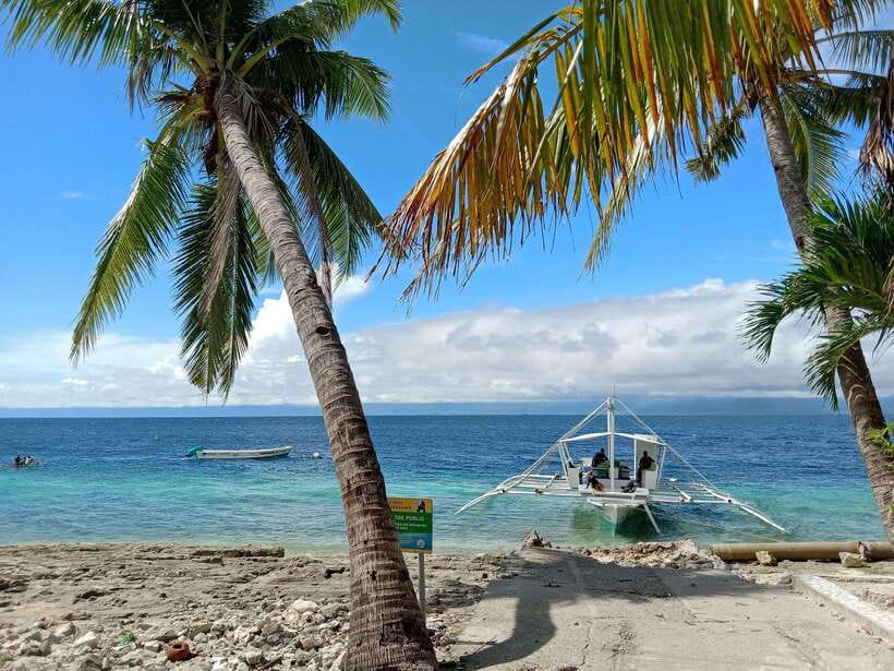 Cebu: Oslob Whale Sharks, Moalboal Sardine Run & Turtles - Showers, towels, and the changeover