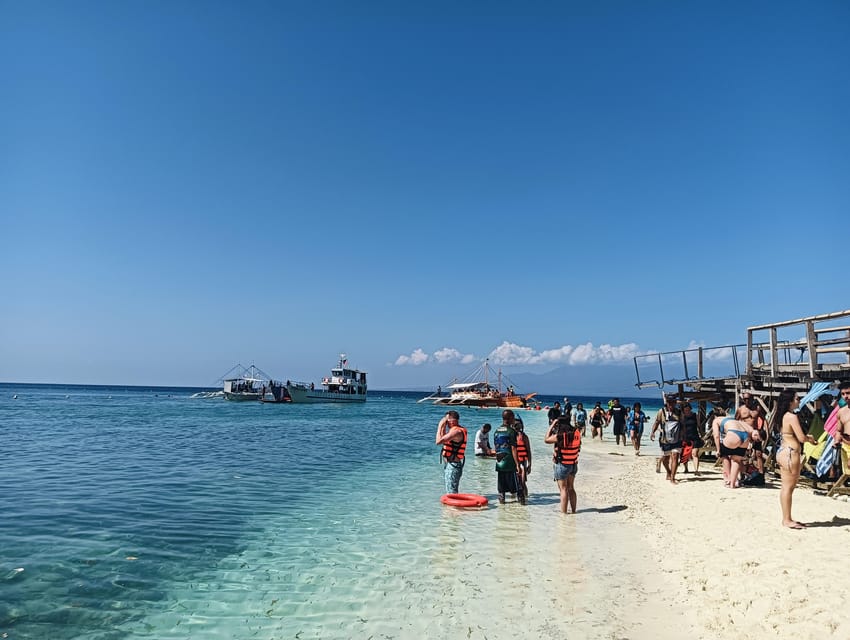 Cebu: Oslob Whale Sharks, Tumalog Falls & Sardine Snorkeling - Shared or private: which option makes sense?