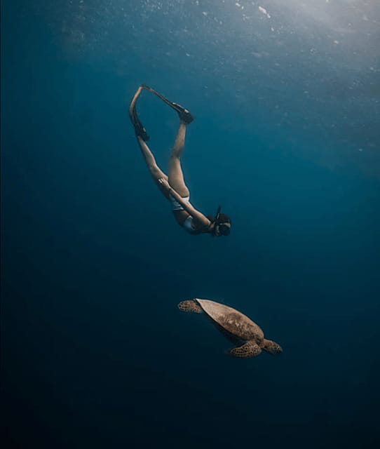 Cebu Oslob Whaleshark, Moalboal Sardines Run&Inambakan Falls - Who will enjoy this Cebu day trip most?