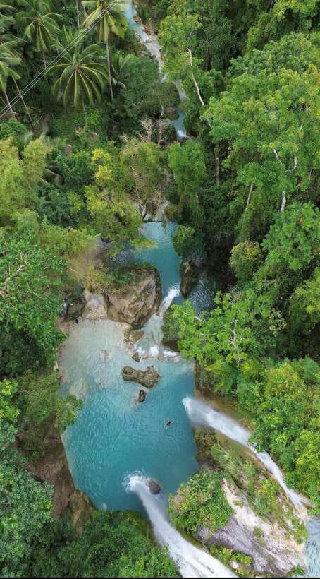 Cebu Oslob Whaleshark, Moalboal Sardines Run&Inambakan Falls - Oslob whale sharks: impressive, but not a simple wild encounter