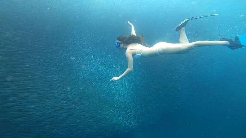Cebu: Oslob Whaleshark & Sardines Run Snorkeling Day Tour - The ethical and practical trade-offs