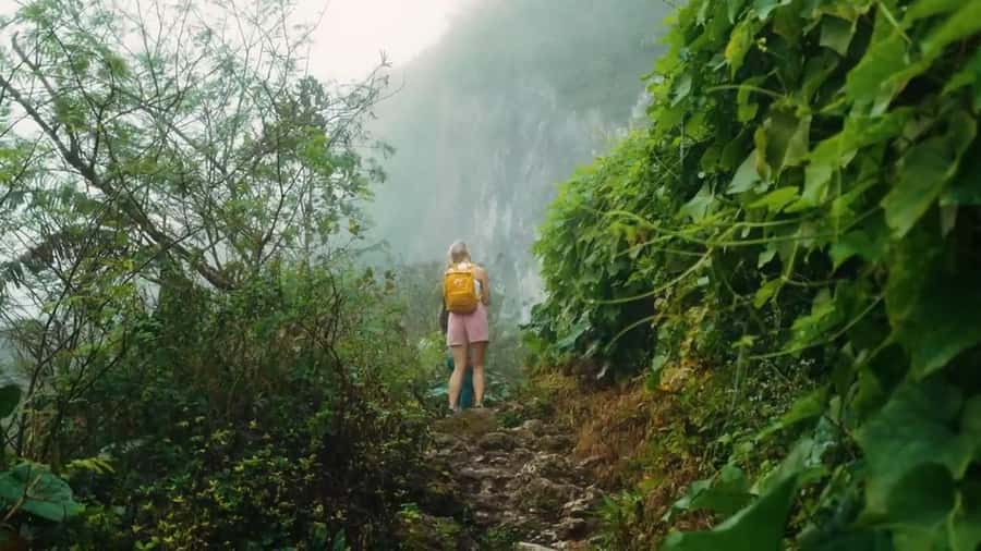 Cebu: Osmeña Peak and Kawasan Canyoneering Day Tour - What the Kawasan Falls canyoneering feels like