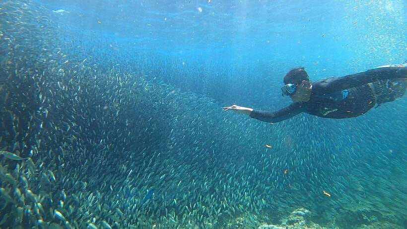 Cebu: Osmeña Peak hike and Sardines Run Snorkel adventure - What the summit experience is really like