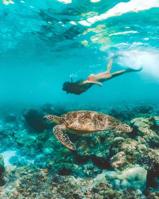 Cebu: Pescador Island, Sardines run and Kawasan Canyoneering - Should you book this Cebu adventure?