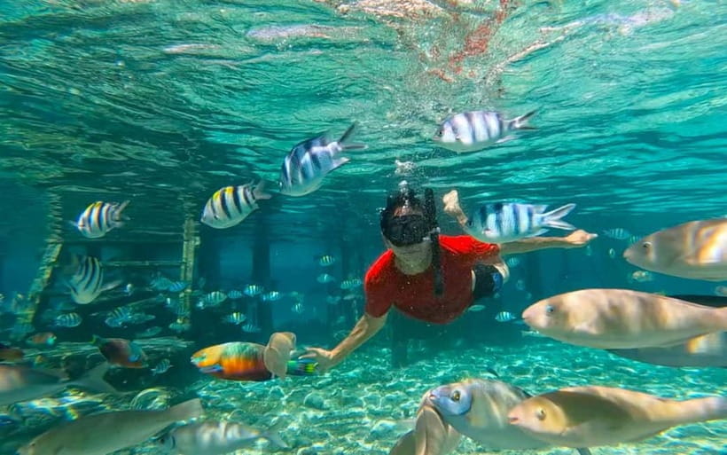 Cebu: Private Mactan Island Hopping Tour with Lunch - Gilutungan: the best first look underwater