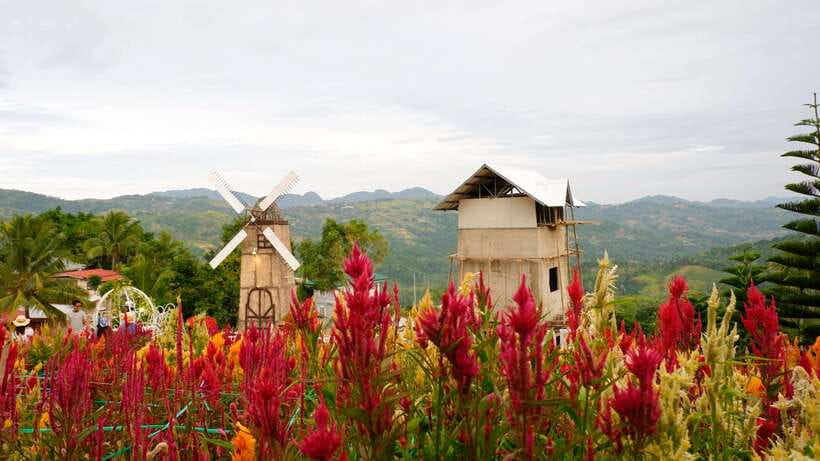 Cebu: Private Panoramic Tour with Dinner - A Roadside Market With Everyday Cebu Flavor