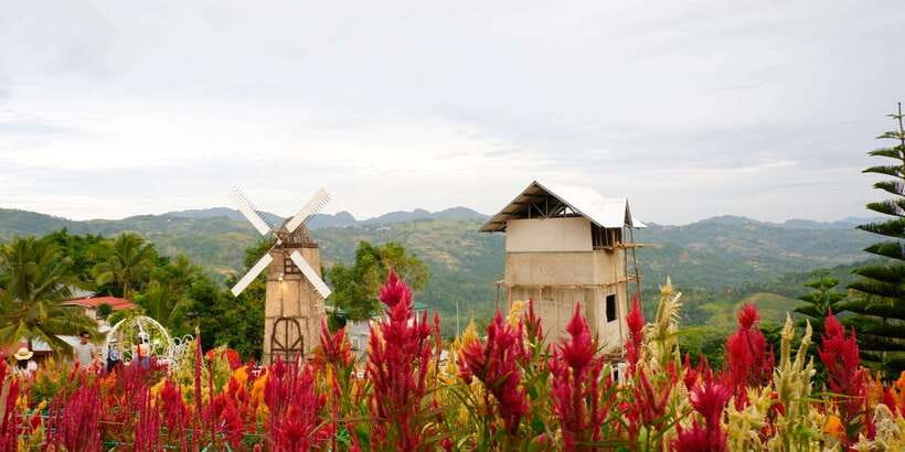 Cebu: Private Panoramic Tour with Dinner - Who Will Get the Most From This Evening