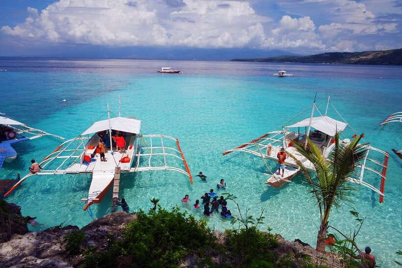 Cebu: Private Sumilon Island & Optional Whale Shark Swim - The Oslob whale shark stop