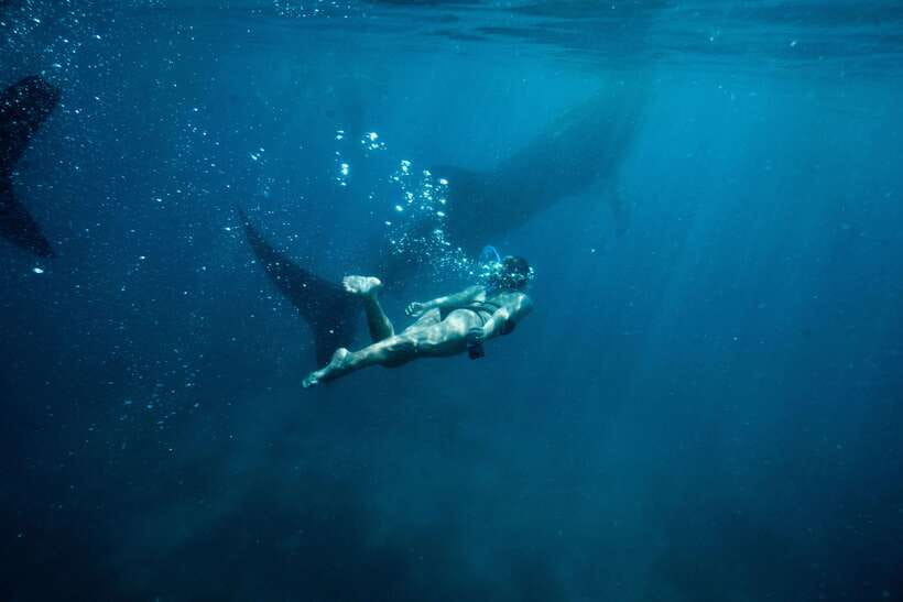 Cebu: Private Sumilon Island & Optional Whale Shark Swim - What to pack for a very long day
