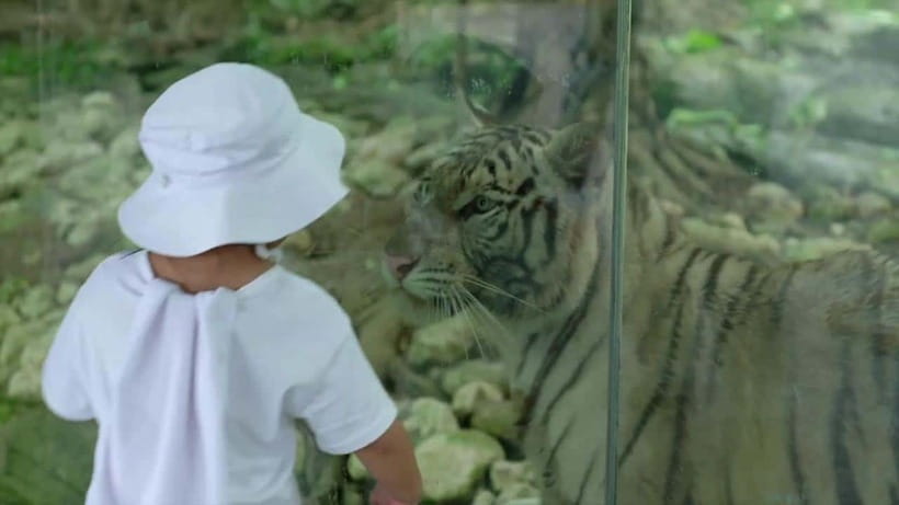 Cebu Safari & Adventure Park: Wildlife Tour with Transfers - Gardens, trails, and the price of a full day