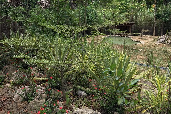 Cebu Safari and Adventure Park - What the long visit feels like