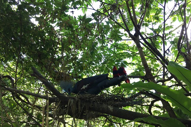 Cebu Safari and Adventure Park - The African Savannah Tour from 10:00 AM to 3:30 PM