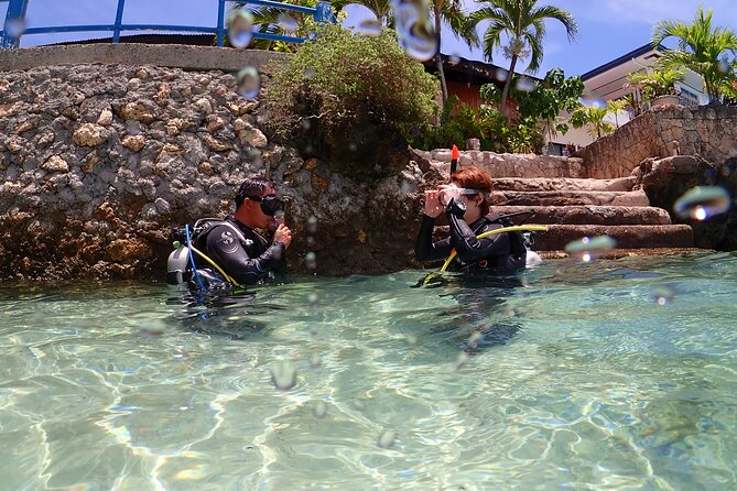 Cebu: Scuba Diving Experience beach entry in Mactan - Key points to know before you book