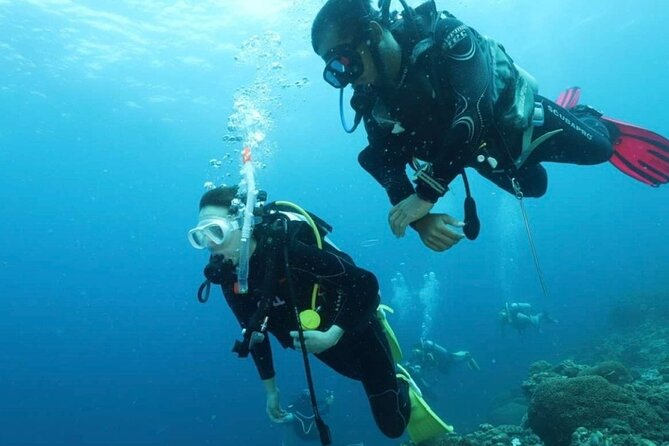 Cebu: Scuba Diving Experience beach entry in Mactan - What happens before you enter the water