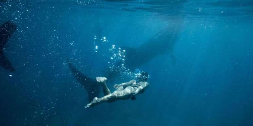 Cebu: Sumilon Sand Bar, Whale Sharks & Sardines Snorkeling - A short stop at Sumilon Island’s shifting sandbar