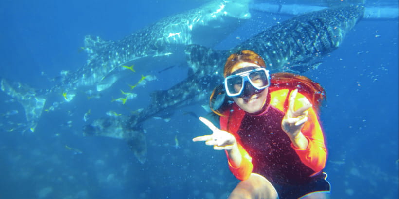Cebu: Sumilon Sand Bar, Whale Sharks & Sardines Snorkeling - What to pack for a day in and out of the water