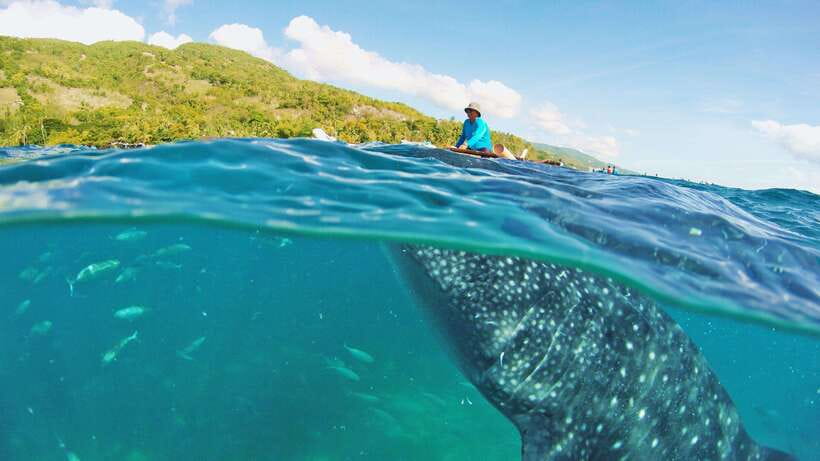 Cebu: Whale Shark Encounter and Kawasan Canyoneering - Moving from the sea to Canlaob River