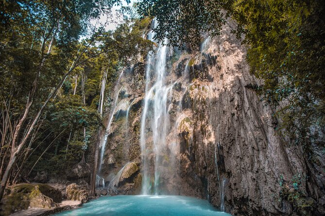 Cebu Whale Shark Encounter, Moalboal Sardines & Tumalog Falls - Oslob’s whale sharks, wonder and serious questions