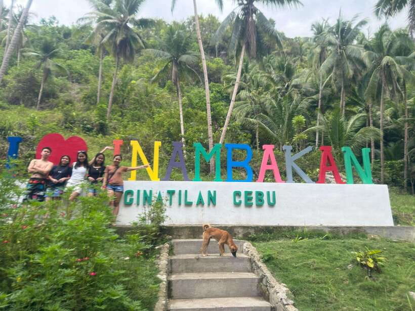 Cebu: Whale Shark, Inambakan Falls & Moalboal Sardine Tour - Oslob whale sharks: the day’s biggest moment