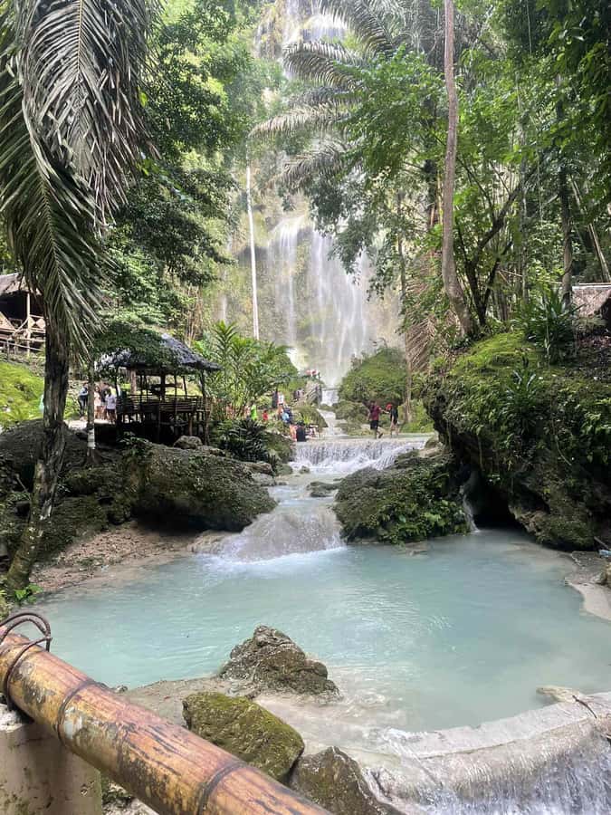 Cebu: Whale Shark, Monkey Sanctuary, & Moalboal Snorkel Tour - A break for brunch and local food