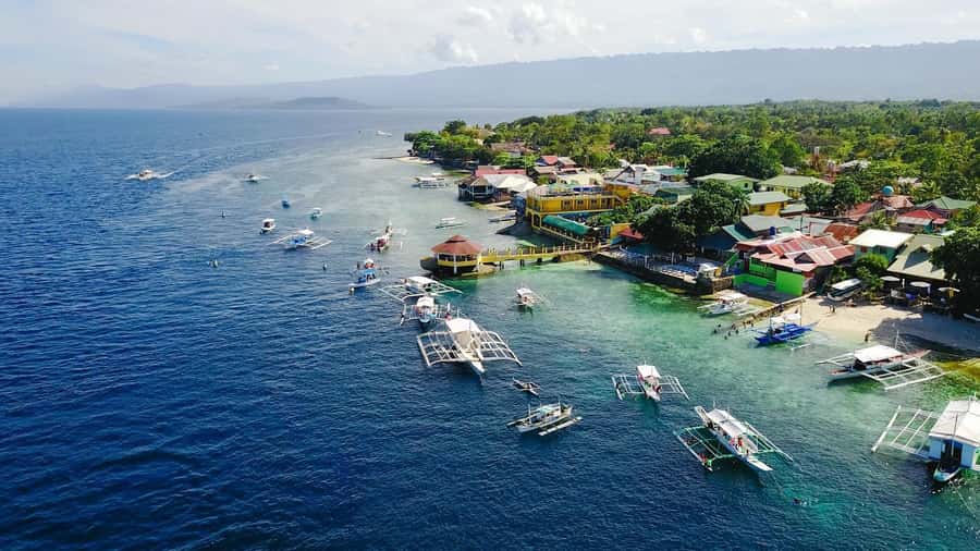 Cebu: Whale Shark, Monkey Sanctuary, & Moalboal Snorkel Tour - Crossing Cebu to Moalboal