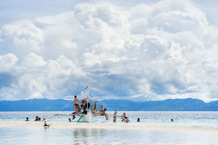 Cebu: Whale Shark, Monkey Sanctuary, & Moalboal Snorkel Tour - Moalboal’s sardine run and sea turtles