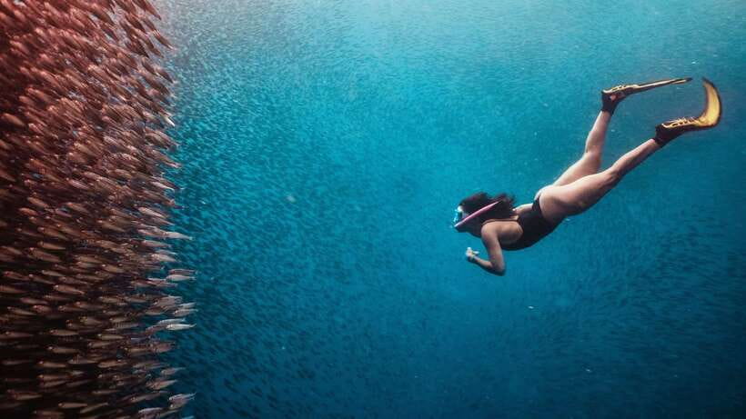 Cebu: Whale Shark, Monkey Sanctuary, & Moalboal Turtles Tour - What the long schedule feels like
