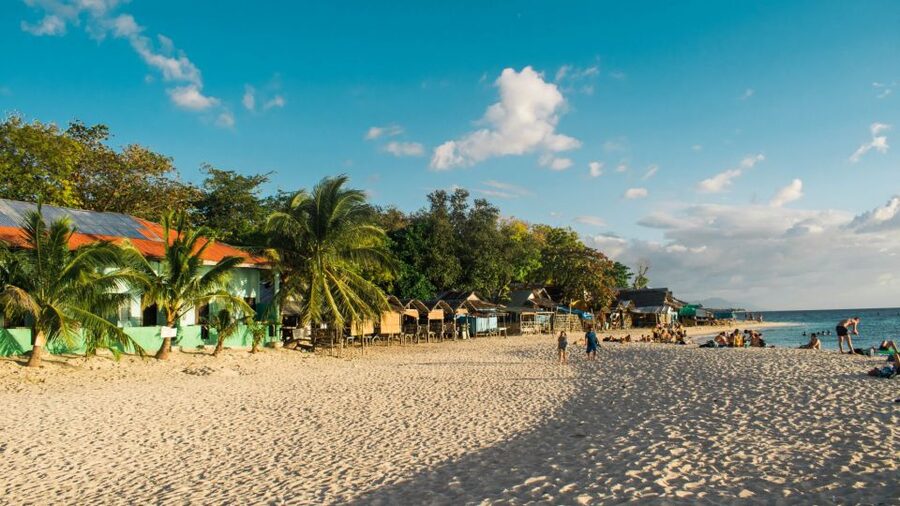 Cebu: Whale Shark, Monkey Sanctuary, & Moalboal Turtles Tour - Small snacks and local flavor