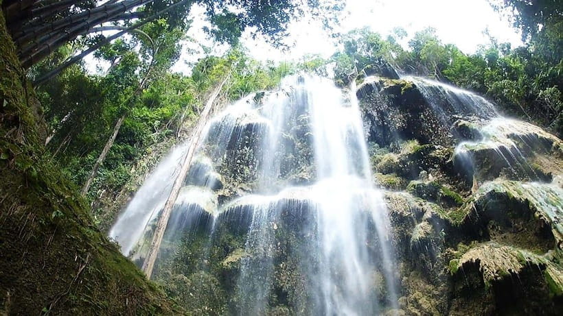 Cebu: Whale Shark, Monkey Sanctuary & Turtle Snorkeling Tour - Is $123 a fair price for the day?
