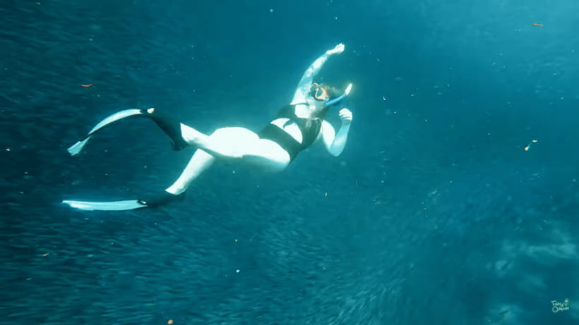 Cebu: Whale Shark Oslob and Moalboal Snorkeling Adventure - Should you book the Oslob and Moalboal combination?