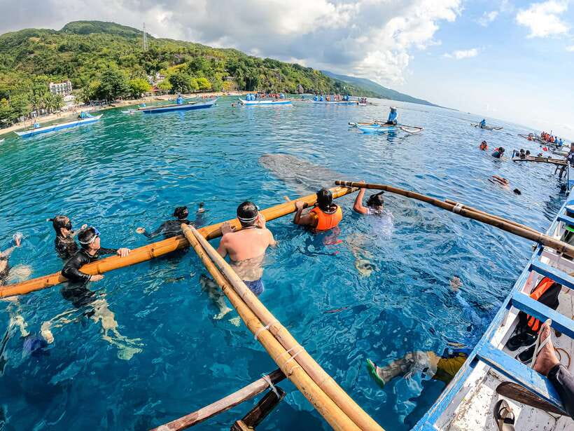 Cebu: Whale Shark Snorkeling & Kawasan Canyoning Tour - What the $152 price really covers