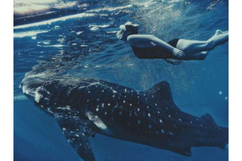 Cebu: Whale Shark Swim and Kawasan Canyoneering Group Tour - Two Hours With Oslob Whale Sharks