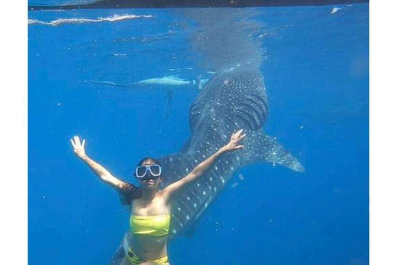 Cebu: Whale Shark Swim and Kawasan Canyoneering Group Tour - Lunch, Equipment, And What To Pack