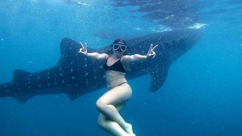 Cebu: Whale Shark Swim, Kawasan Falls & Moalboal Sardine Run - Three Cebu adventures in one very long day