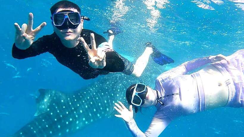 Cebu: Whale Shark Swim, Kawasan Falls & Moalboal Sardine Run - Kawasan Falls: blue-green water after a tropical walk