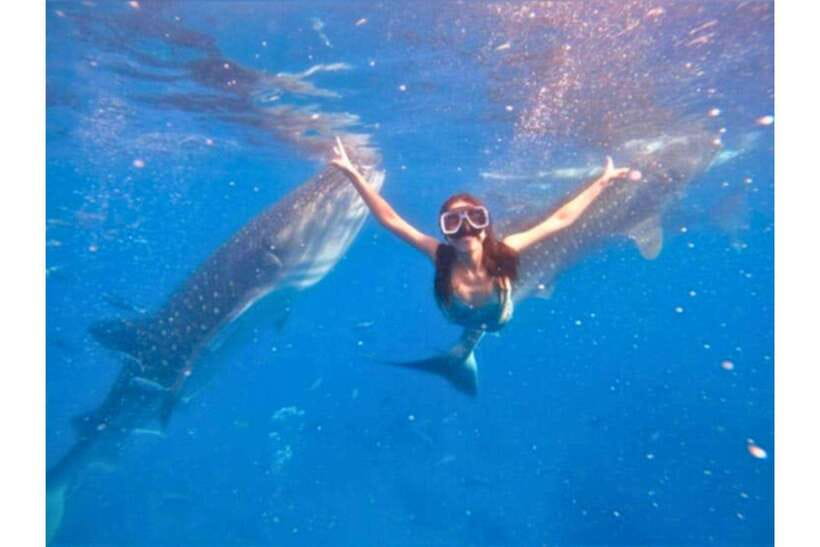 Cebu:Whale Shark, Waterfall, and Sardine Run Group Tour+Meal - Three South Cebu highlights in one day