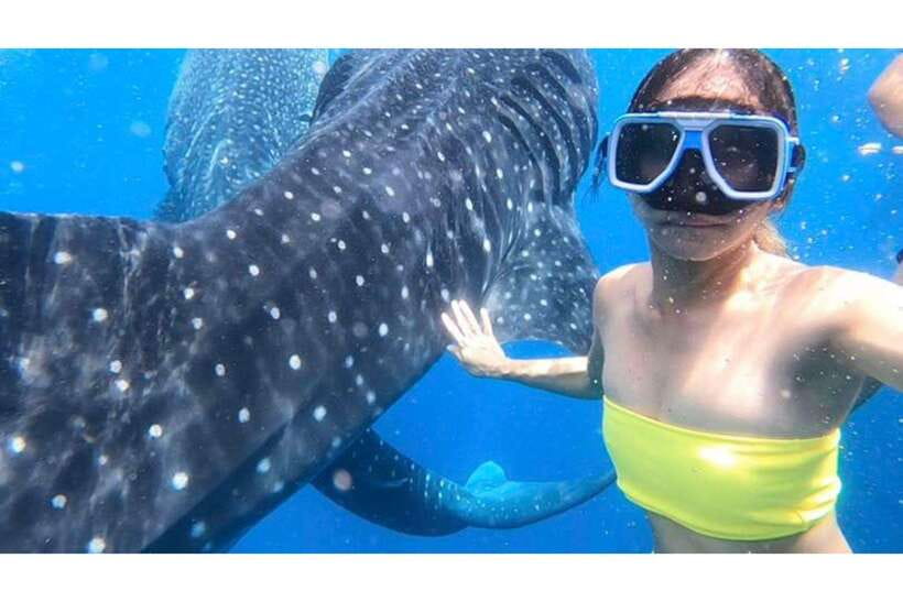 Cebu:Whale Shark, Waterfall, and Sardine Run Group Tour+Meal - Inambakan Falls brings a freshwater pause