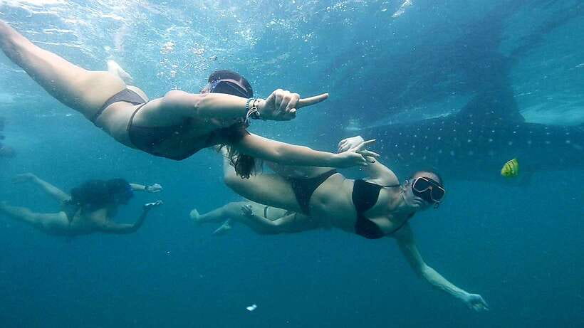 Cebu: Whale Sharks, Ka-Treasure Water Terraces & Simala Tour - Oslob whale sharks require an early start