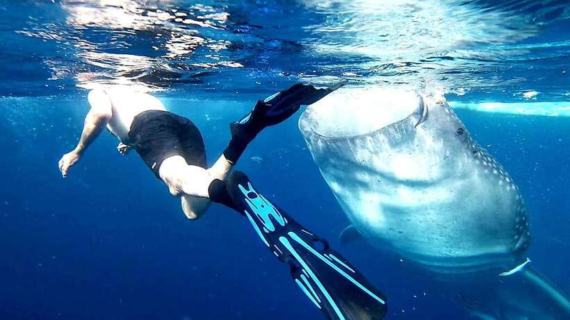 Cebu: Whale Sharks, Ka-Treasure Water Terraces & Simala Tour - Ka-Treasure Water Terraces are scenic but not purely natural