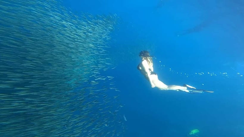Cebu: Whale Sharks, Kawasan Falls, & Sardines Run Snorkeling - Kawasan Falls and the choice of canyoneering