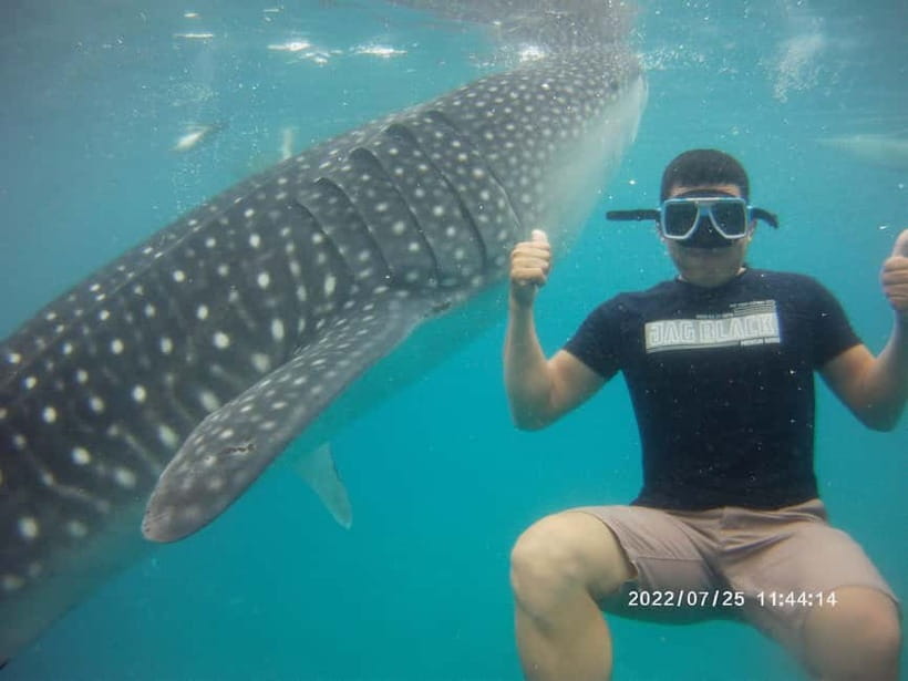 Cebu: Whale Sharks, Kawasan Falls, & Sardines Run Snorkeling - What the $135 price includes