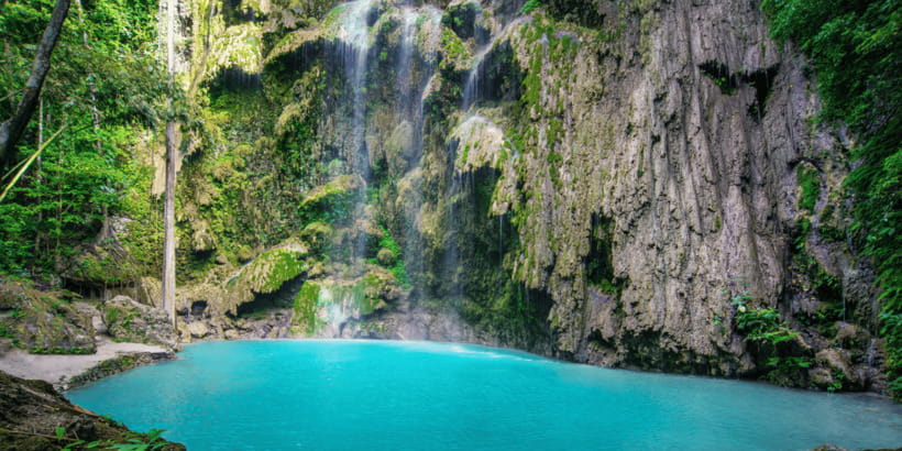 Cebu: Whale Sharks, Tumalog Falls, and Monkey Sanctuary Tour - What $121 buys you