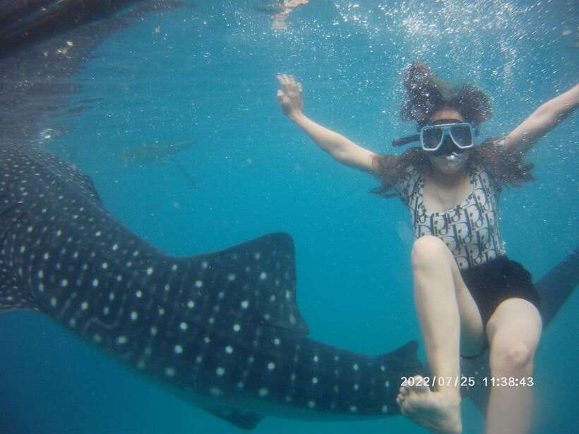 Cebu: Whaleshark Encounter, Tumalog Falls & Sumilon Sandbar - Small details that make the day easier