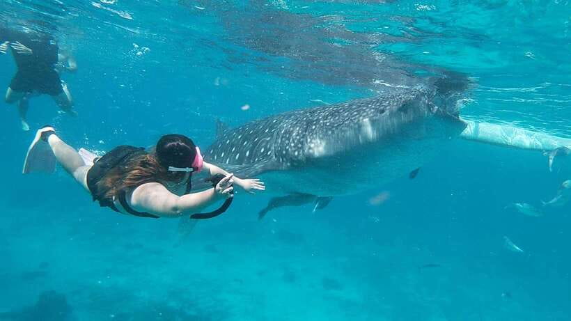 Cebu: Whaleshark Encounter, Tumalog Falls & Sumilon Sandbar - Breakfast after the water