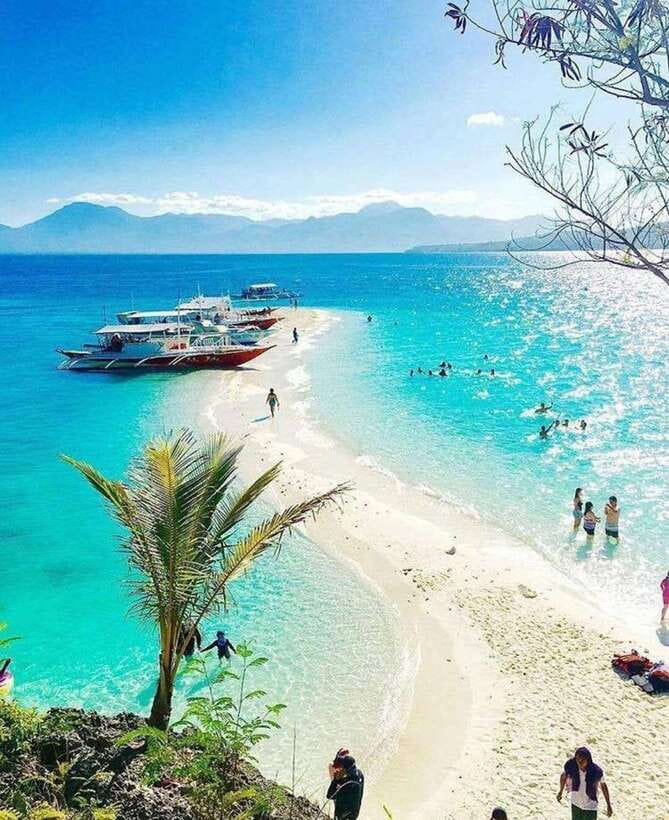 Cebu: Whaleshark Encounter, Tumalog Falls & Sumilon Sandbar - Transport, pickup areas, and the rhythm of the day