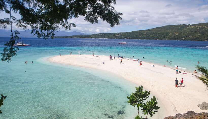 Cebu: Whaleshark Encounter, Tumalog Falls & Sumilon Sandbar - Who will get the most from this tour