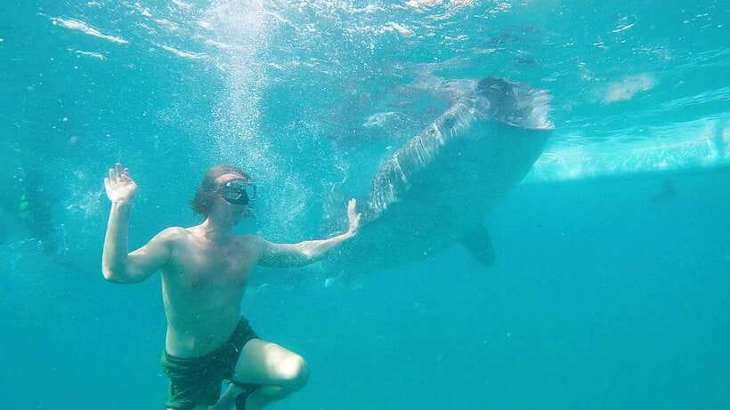 Cebu: Whaleshark Swimming & Kawasan falls Canyoneering Tour - Three hours through the Kawasan canyon