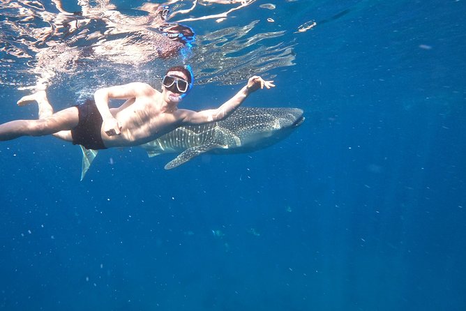 Cebu Whaleshark Tour - The 4:00 a.m. start and long road to Oslob