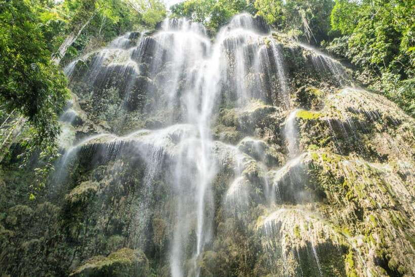 Cebu: WhaleShark , Tumalog Falls, & Sardine Run Snorkeling - What private really means on this tour